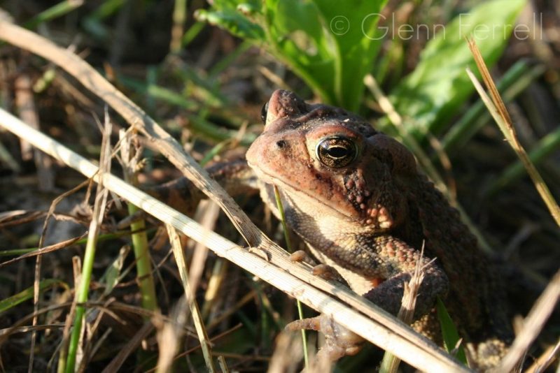 Friends Along the Way Friends Along the Way