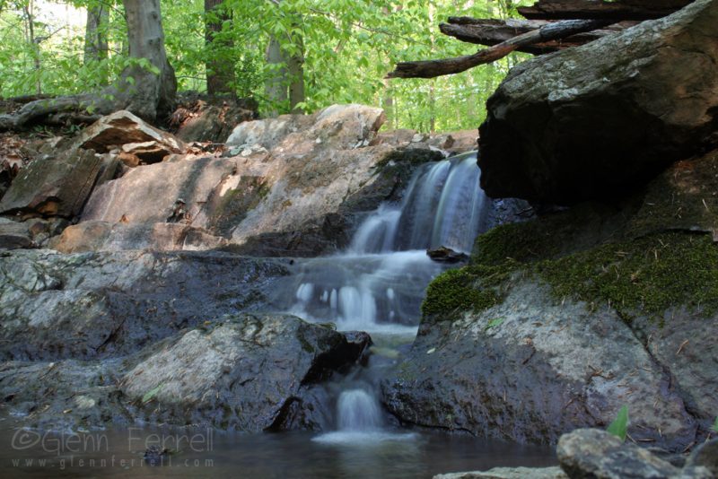 Many Faces of Delaware Many Faces of Delaware