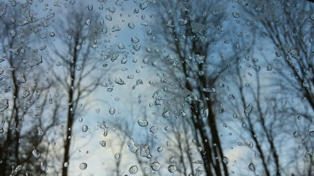 Mobile Life, 2015 Mobile Life, 2015