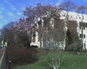 UD Willard Hall, Spring