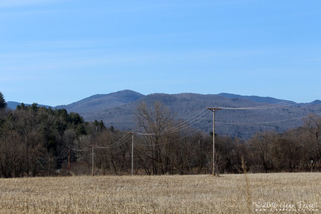 Mobile Life, 2014 Mobile Life, 2014