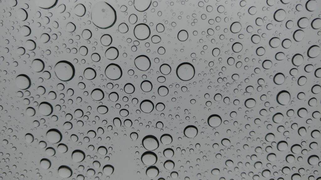 Mobile Life, 2018 Mobile Life, 2018